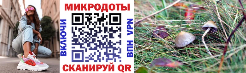 Псилоцибиновые грибы Cubensis Алатырь